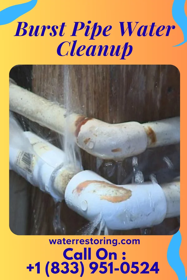 Burst Pipe Water Cleanup in Margaretville, NY