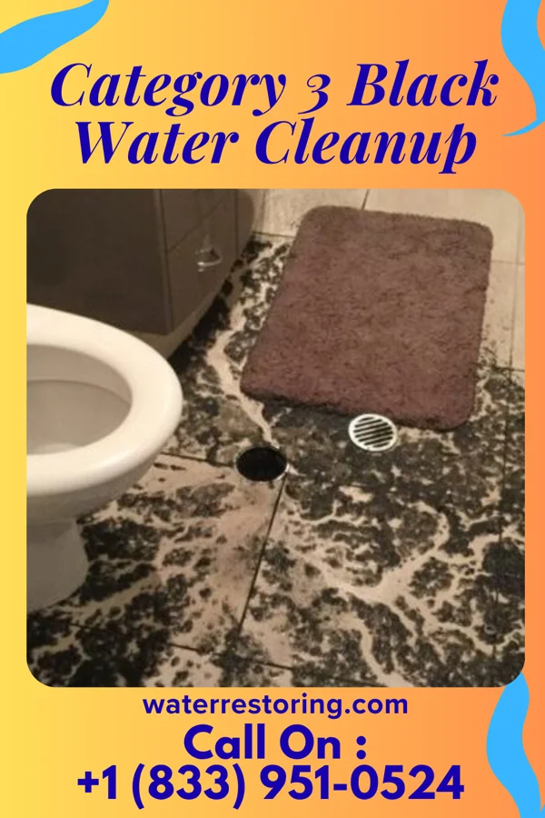 Category 3 Black Water Cleanup in Margaretville, NY