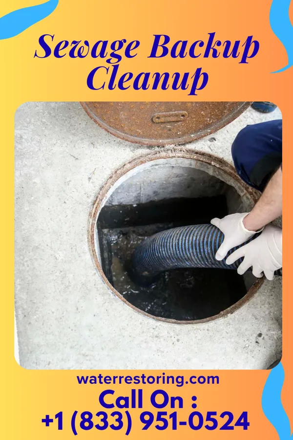 Sewage Backup Cleanup in Margaretville, NY