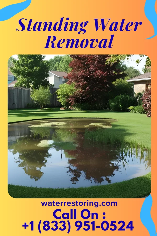 Standing Water Removal in Margaretville, NY
